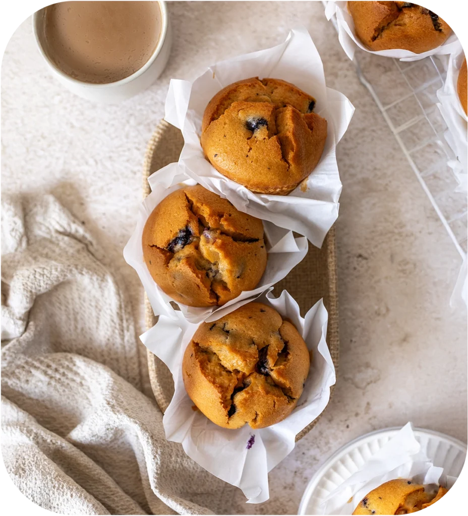 Blueberry Gourmet Muffin - Original Foods
